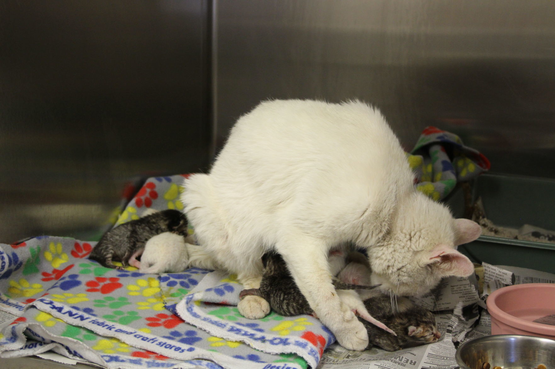 Taking care